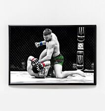 Dricus Du Plessis vs Robert Whittaker KO Fight Poster Original Art - UFC 290 USA picture