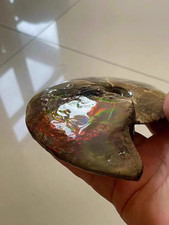 549g Natural rainbow ammolite fossil mineral specimen Crystal healing gift picture