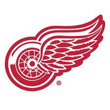 Detroit Red Wings Logo Sticker / Vinyl Decal  | 10 Sizes TRACKING picture