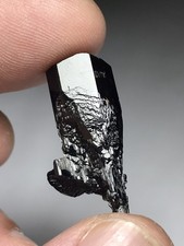 Schorl (Black Tourmaline) Scepter From Shigar Valley Gilgit-Baltistan Pakistan picture