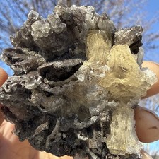 Natural Dogtooth Calcite W/ Cubic Fluorite & Selenite Specimen UV Minerals picture
