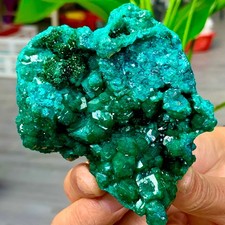 189G Natural green dioptase emerandine gemstone cluster Crystal specimen picture