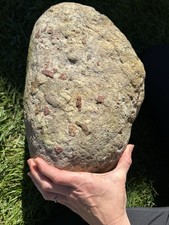80lb HUGE Loaded Quartzite Lake Michigan Puddingstone New Pink Ish Undertones picture