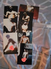 8 Original / Vintage RARE SIERRA DOMINO Studio Photo LOT Male Figure Study HUNK picture