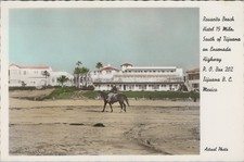 Rosarito Rosarito Beach Hotel Person on Horse on the Beach Postcard picture