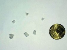 1 piece of relic from the second tomb of Saint Lazarus picture