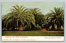Los Angeles California East Lake Park Palms CA Postcard picture