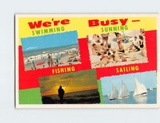Postcard Were Busy Swimming Stunning Fishing Sailing picture
