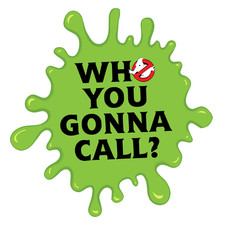 GhostBusters Who you gonna call? Vinyl Sticker Decal 14