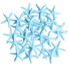 Light Blue Starfish Decor, Starfish Ornaments, 30 Pieces Small Finger picture