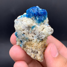 Vibrant Royal Blue Sodalite Crystal on Matrix Specimen - Kunar, Afghanistan picture