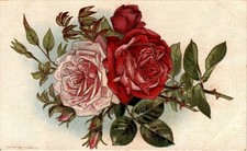 1909, LR Conwell, NY, 1078 Postcard picture