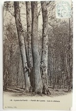 Ancient Postcard Lyons-la-Forêt Lions Forest 4 Oaks picture