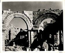 LD315 Original Photo BRIDE OF THE DESERT ANCIENT CITY RUINS IN PALMYRA SYRIA picture