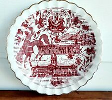 Vtg State Plate Wyoming Travel Souvenir 7
