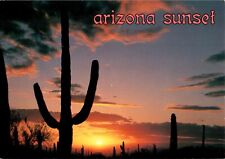 Arizona Sunset, Cactus, Tucson Mountain Park chrome Postcard picture