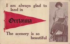 Orrtanna PA Pennsylvania Woman Beautiful Scenery Pennant Humor Vtg Postcard 26A picture