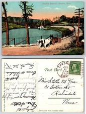 Cheshire Reservoir Cheshire Connecticut Oxen Cart Postcard AY109 picture