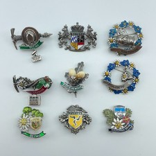 Vintage German Austrian Alpine Souvenir Pins Lot 9 Enamel Bavaria Salzburg 1in picture