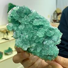 1.46LB Natural green Fluorite Quartz Crystal Mineral specimen picture