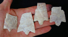 4 Heartbreaker CORAL HILLSBOROUGH Deep South Arrowhead ~90~ picture