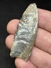 Native American Paleo Fluted Clovis Folsom Point Arrowhead COA picture