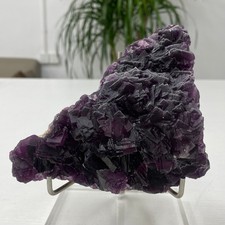 1.75LB  Rare transparent purple cubic fluorite mineral crystal sample/Chin picture