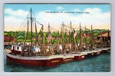 St Augustine FL- Florida, Shrimp Boats, Antique, Vintage Souvenir Postcard picture