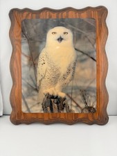 Vintage Wood Framed Laquered Snow Owl Decoupage 12