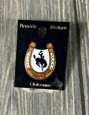 Vintage Pinnacle Designs Jackson Hole Wyoming Horseshoe Pin Souvenir 1 1/8” picture