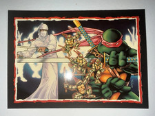 Topps 1989 TMNT Collectors Edition Glossy Bonus Card #V Night of the White Ninja picture
