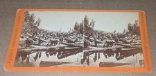 Upton Mooers & Plummer Stereoview Minnesota Pineries Logging River Workers picture