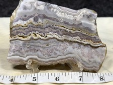 Beautiful Sow Belly Lace Agate Slab, Lot#733 picture