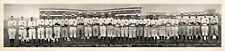 1911 St. Louis Browns Baseball Team Vintage Panoramic Photograph 31