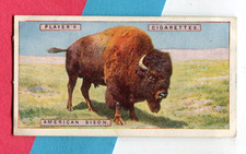 1924 JOHN PLAYER & SONS NATURAL HISTORY TOBACCO CARD #8 AMERICAN BISON BUFFALO picture