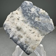 Nice Native Gold in Quartz: Sunnyside mine, Eureka, San Juan Co., Colorado- Rare picture