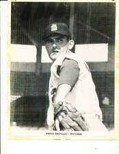 1964 Ernie Broglio St. Louis Cardinals team issue picture 8x10  picture