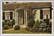 c1920s Evergreens Steele's Pomona Nurseries Palmyra New Jersey Vintage Postcard picture
