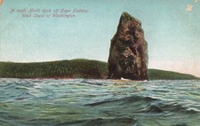 NORTH ROCK OFF CAPE FLATTERY POSTCARD WEST COAST OF WA WASHINGTON 1907 picture