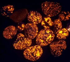 12 Per Lot Yooperlite Stone Super bright Fluorescent Sodalite Lake Superior picture
