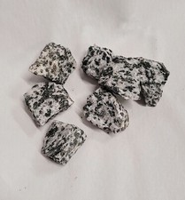Natural Granodiorite Rock Specimen - Igneous, Geology, Collecting, & Decor picture