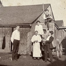 Antique Group Photograph On Board Outside Dog Boy On Meat Wagon Occupational Man picture