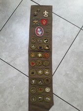 41 1950's Type E F Merit Badge Botany Railroad Zoology Forestry BSA Sash 3 PINS picture