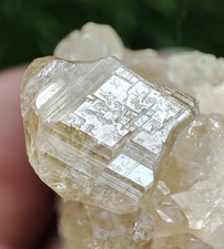 55-gm Very Rare Fluorescent Grossular Var Leuco garnet (AKA White Garnet) - Pak. picture