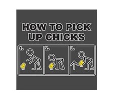925- Funny Pick Up Chicks Refrigerator Magnet NICE 4 by 4 inch SIZE picture