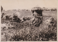 1924 Press Photo Camouflaged Japanese Machine Gun Infantry during War Maneuvers picture
