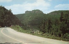 Jellico Tennessee Bee Mountain Campbell County Vtg Postcard J15 picture
