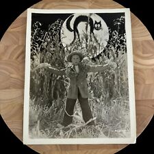 MGM Jackie Cooper halloween cornfield black cat press photo 8 x10 black & white picture
