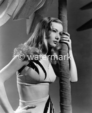 Vintage Veronica Lake 8x10 – 1940s Celebrity Photo - Golden Age Actress Glamour picture