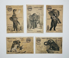 1882 Clark's O.N.T. Jumbo Elephant H675 Complete 5-Card Victorian Trade Set RARE picture